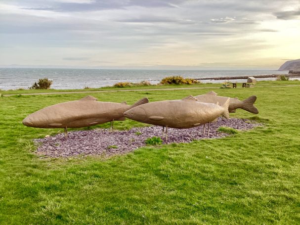 Salmon sculptures representing the natural heritage of the Seaboard villages of Hilton, Balintore and Shandwick